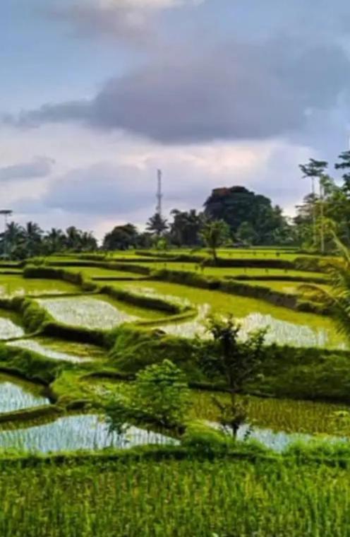 Asan Rinjani Homestay Tetebatu Exterior foto
